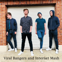 Michael Fry - Viral Bangers and Internet Mash artwork