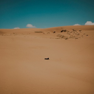 Texas - Single