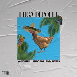 Fuga di polli John Durrell, Bruno Bug & Laden Patiens