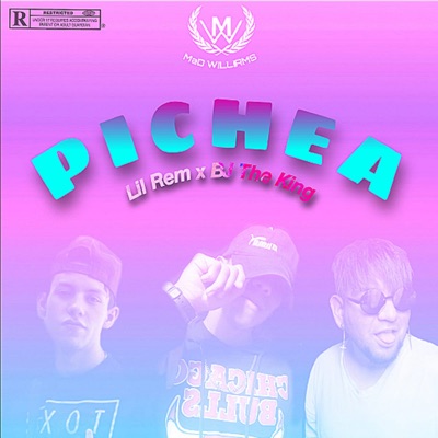 Pichea (feat. BJTHEKING & LILREM) - Single