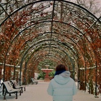 Perceptions - Single - Honshu Lo fi & Caleb Belkin