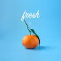Fresh