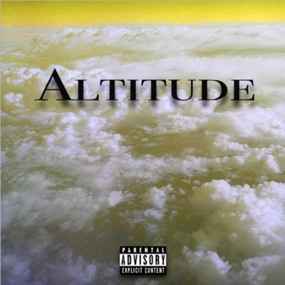 Altitude (feat. Rok & Shaan Domo) - Single