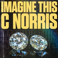 Imagine This - Single - C.Norris