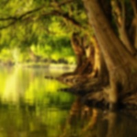 Slow Leak - Single - cutscene