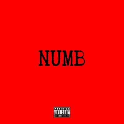 Numb (feat. Brxndo2xs) - Single
