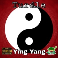 Ying Yang - Single - Turdle