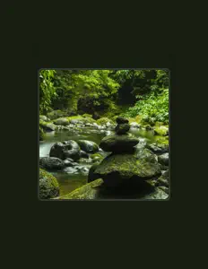 Dubcat 9 सुनें, म्यूज़िक वीडियो देखें, बायो पढ़ें, दौरे की तारीखें और बहुत कुछ देखें!