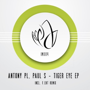 Tiger Eye - Single