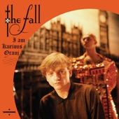 The Fall - New Big Prinz