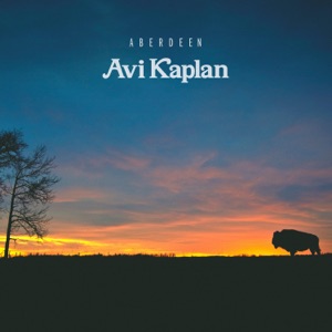 Avi Kaplan - Aberdeen - 排舞 编舞者
