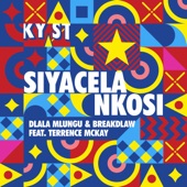 Siyacela Nkosi (Radio Version) [feat. Terrence Mckay] artwork