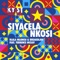 Siyacela Nkosi (Radio Version) [feat. Terrence Mckay] artwork