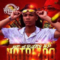 Natalzão - Single - Mc Arley SP