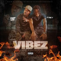 Vibez - Tony Bone & Kai T