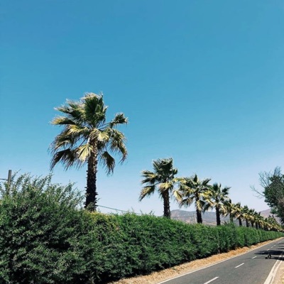 Mood : Vacaciones (feat. Francisco Salazar) - Single