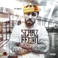 Scarz of a Felon 2 - M-Bully