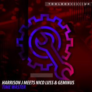 Time Waster (Harrison J Meets Nico Luss Meets Geminus) - Single