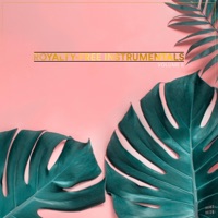 Royalty-Free Instrumentals, Vol. 5 - EP - Don't Rush