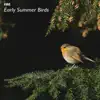 JBE Nature Sounds - Birds In the Woods