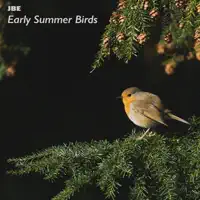 Birds In the Woods — JBE Nature Sounds