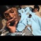 Boolin' - BigHomieKayden lyrics