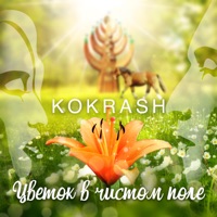 Цветок в чистом поле - Single - Kokrash