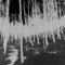 Esche - Sel'm lyrics