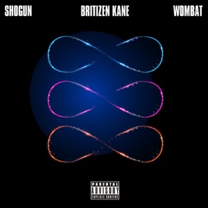 Figure 8 - Single