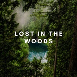 Lost in the Woods Mckyy