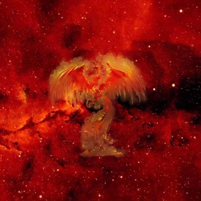 Rising Phoenix