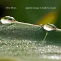 Dew Drops