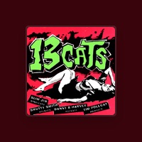 13 Cats