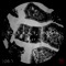 Jepp Jopp (Alex Schwarze Remix) - T.a.f.k.a.t. & Mosha lyrics