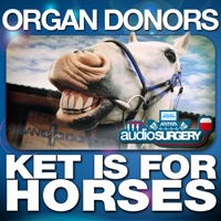 Ket Is for Horses - Single - Organ Donors