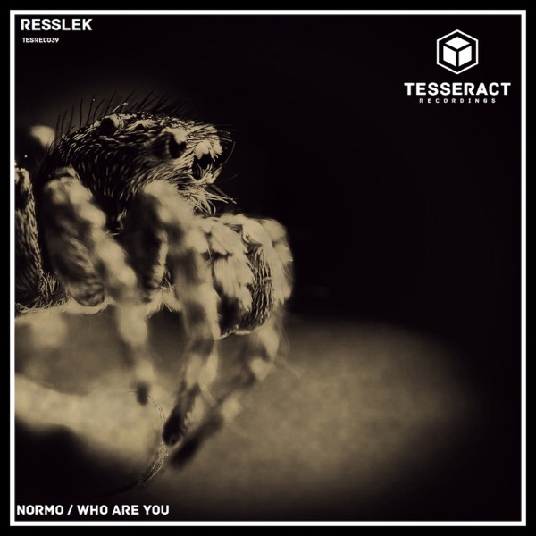 Normo/Who Are You - Single