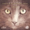 Austin's Groove 2015 - EP