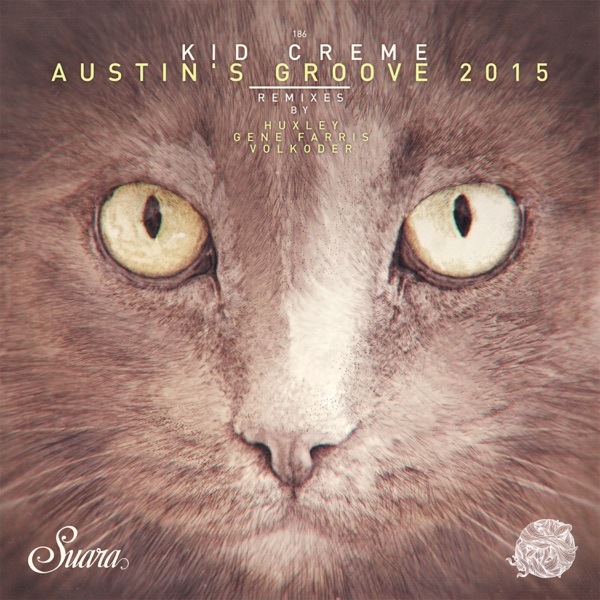 Austin's Groove 2015 - EP