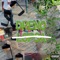 Lopsa - Dreno lyrics