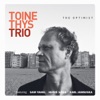 Toine Thys Trio