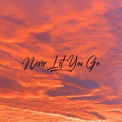 Never Let You Go (feat. Daniel Swags) - Single