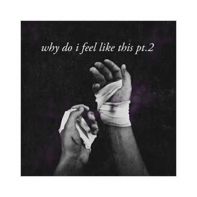 Why Do I Feel Like This, Pt. 2 (feat. Cr00k) - Single