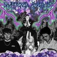 SHATTERED AMETHYST (feat. DUSTMYTE & CELESTE KAY) - Single - Greenh3arts