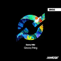 Groovy Thing (Extended) — Danny Wild