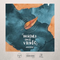 Brújula en el Viento - Single - Berenice Jiménez