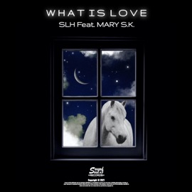 What Is Love SLH & Mary S.K.