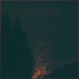Wildfire (feat. Yummm) Devon Rea