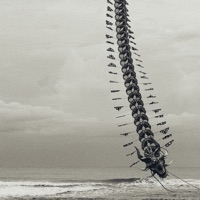 Thailand Frustration - Single - Charzrd