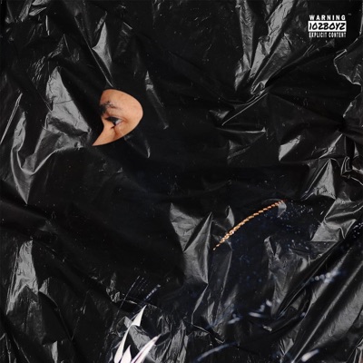 Made In 102 V.2 - EP