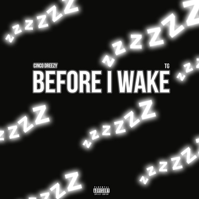 Before I Wake (feat. TG) - Single